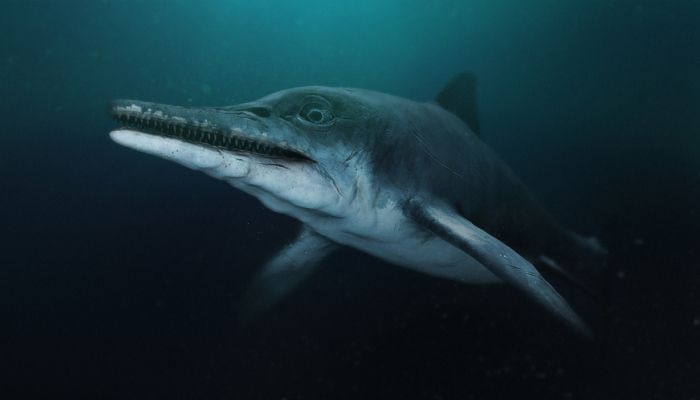 fosilna-uganka-iz-globin-casa-kdo-je-bil-morski-zmaj, ki-je-vladal-oceanom-pred-dinozavri