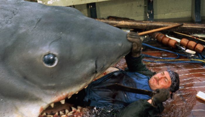 Žrelo, Jaws - 1