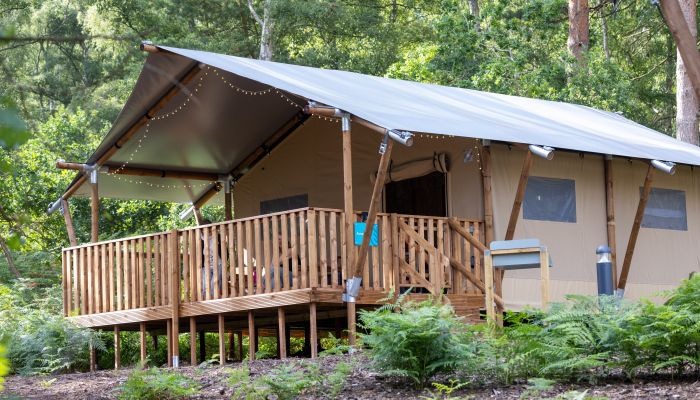  Kralj Karel je na posestvu Sandringham odprl glamping vasico