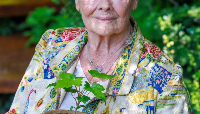 Judi Dench - Legendarna Judi Dench se je upokojila, ker se ji je vid tako poslabšal, da nikogar ve