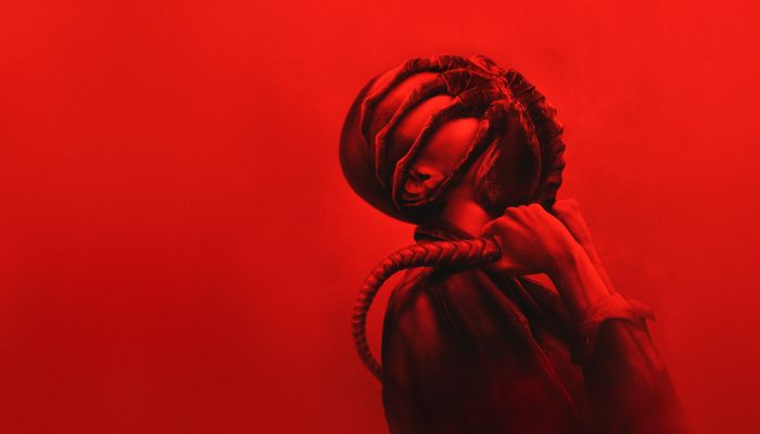 hbo-max, januar-2025