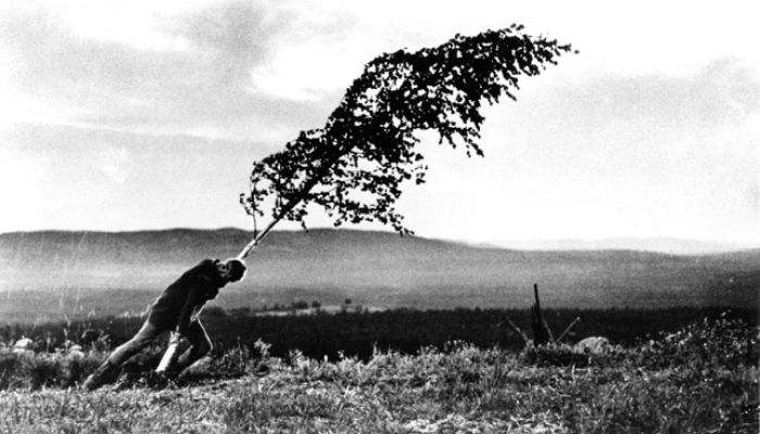 Ko vera trči ob nepopravljivo izgubo. Prizor, ki ne ponuja tolažbe, temveč vprašanja, ki ostanejo z gledalcem dolgo po koncu filma
