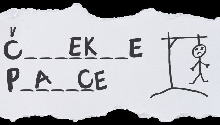 Festival dokumentarnega filma