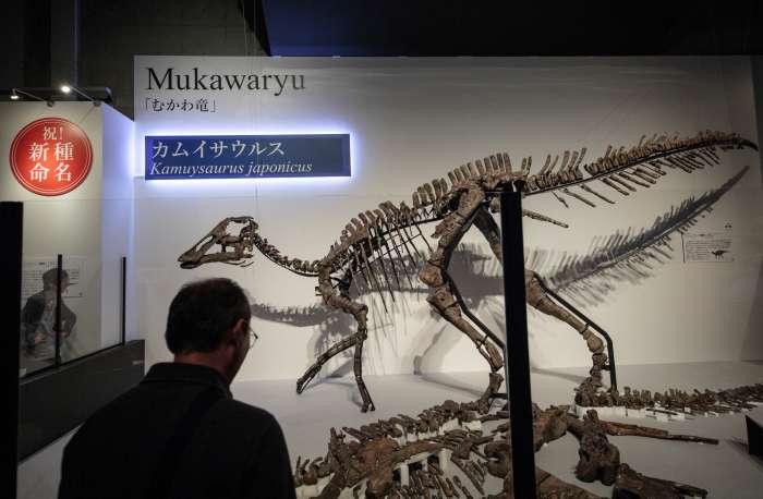 Japonski znanstveniki odkrili novo vrsto dinozavra