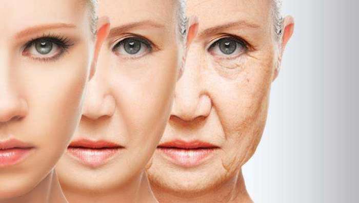 Prvič dokazano "obrnili" biološki proces staranja