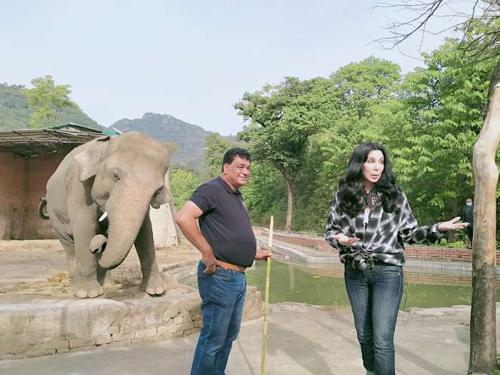 Cher osvobodila najbolj osamljenega slona na svetu