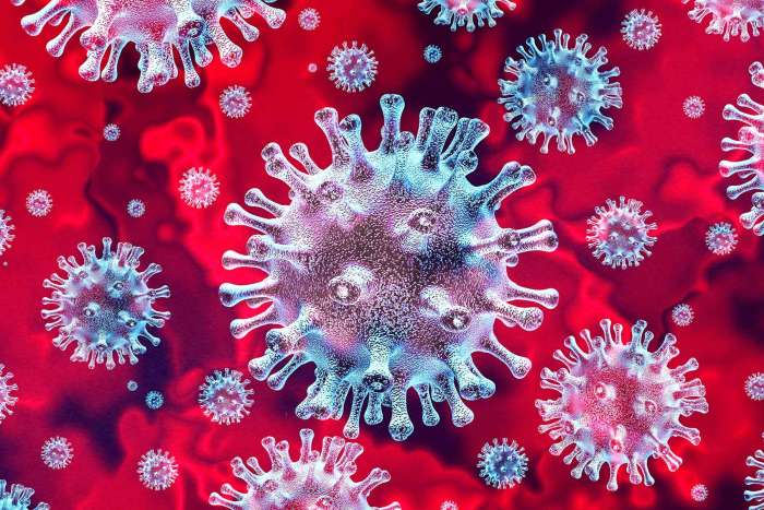 Novi sev koronavirusa - kaj vemo?