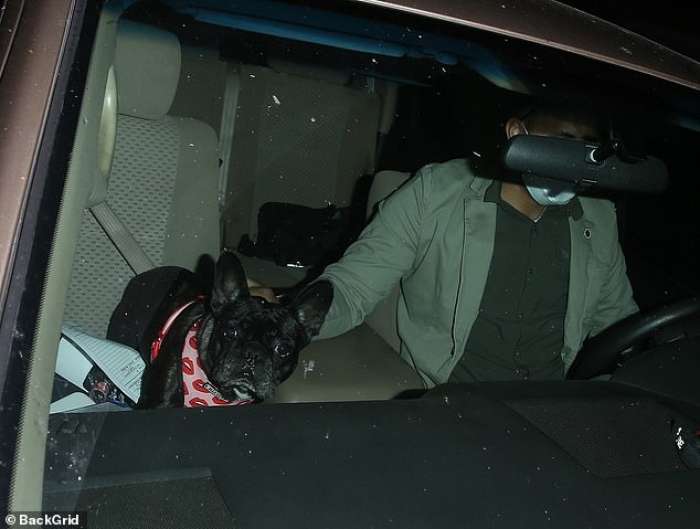 Ustreljen sprehajalec psov Lady Gaga, dva psa ukradena