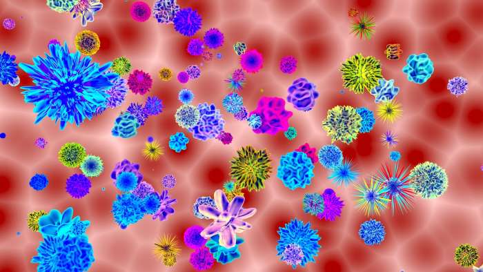 Kateri virusi lahko sprožijo nove pandemije v prihodnosti?