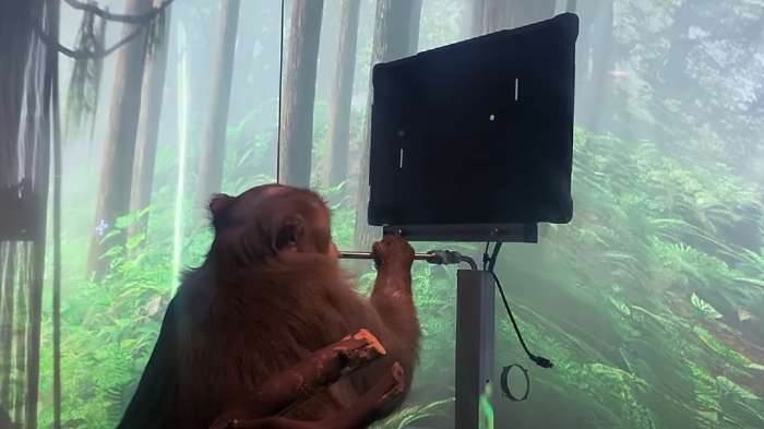 Opica z mislimi lahko premika stvari na zaslonu