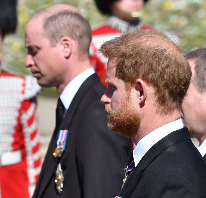Princa Harry in William sta se pogovarjala dve uri