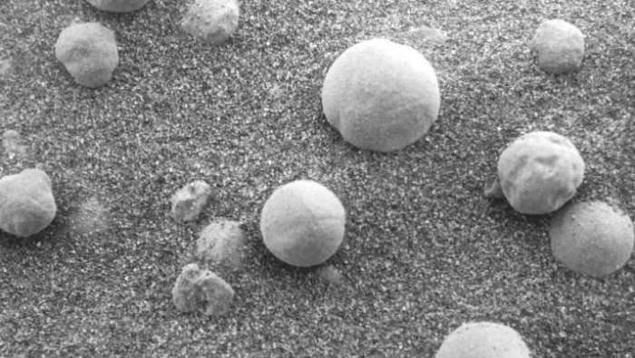 Ali na Marsu rastejo gobe?