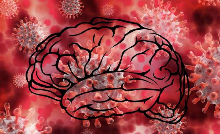 Ugotovili kako koronavirus napada možgane