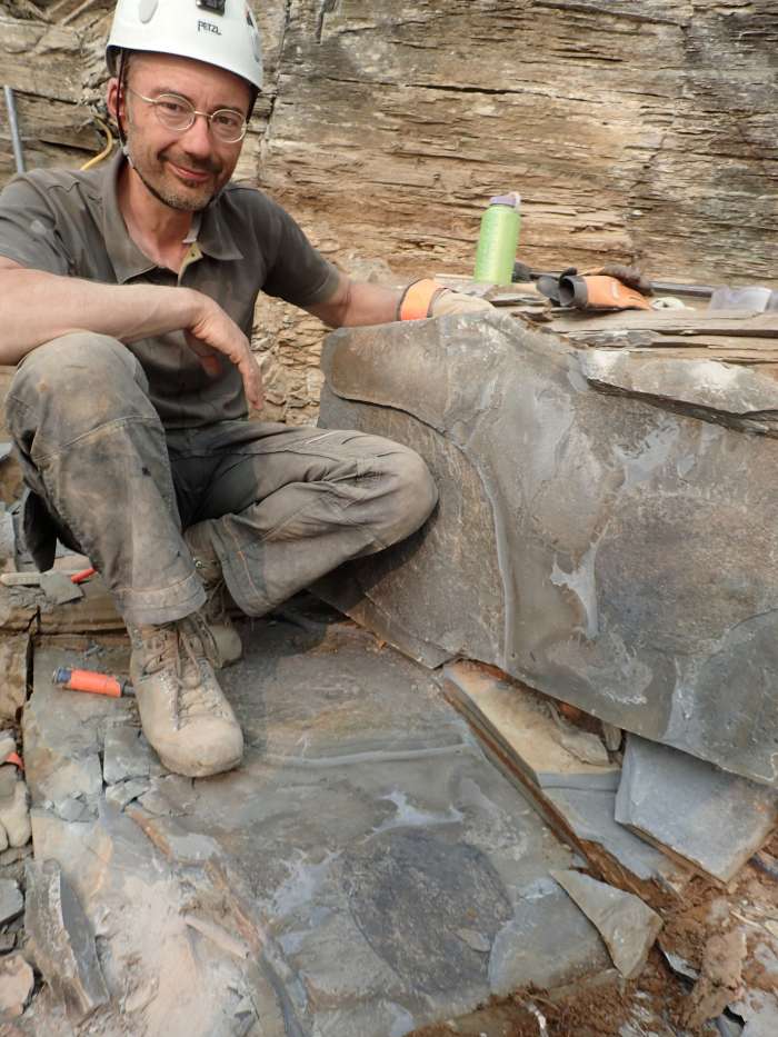 Odkrili so fosile NAJVEČJEGA PLENILCA takratne Zemlje