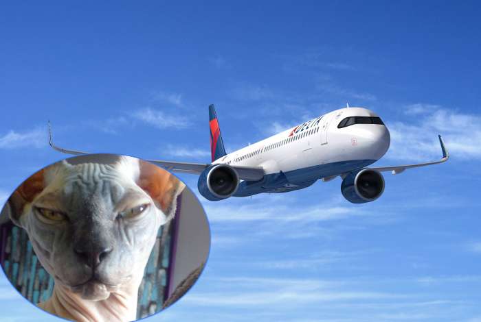 BIZARNO: Na letalu je hotela podojiti mačko