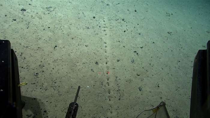 Na oceanskem dnu odkrili "nezemeljske" luknje
