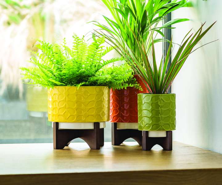 Zelenje naj bo v vseh prostorih vašega doma - lahko v vazi ali v pisanih cvetličnih lončkih. Nič namreč ne pričara pomladnega vzdušja bolj kot zelene rastline.