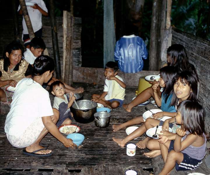 Na večerji pri veliki družini v tropskem gozdu