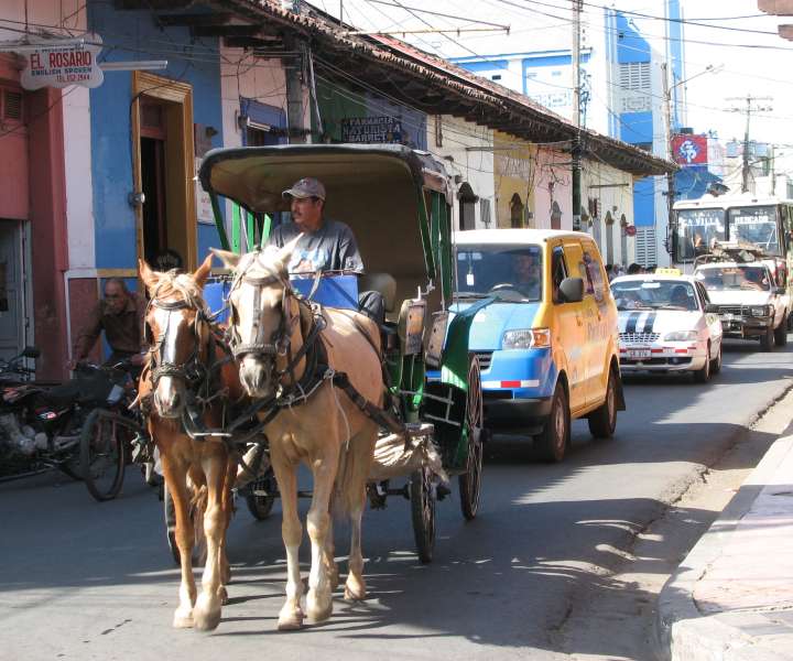 Konjske vprege zaidejo tudi v mesta.