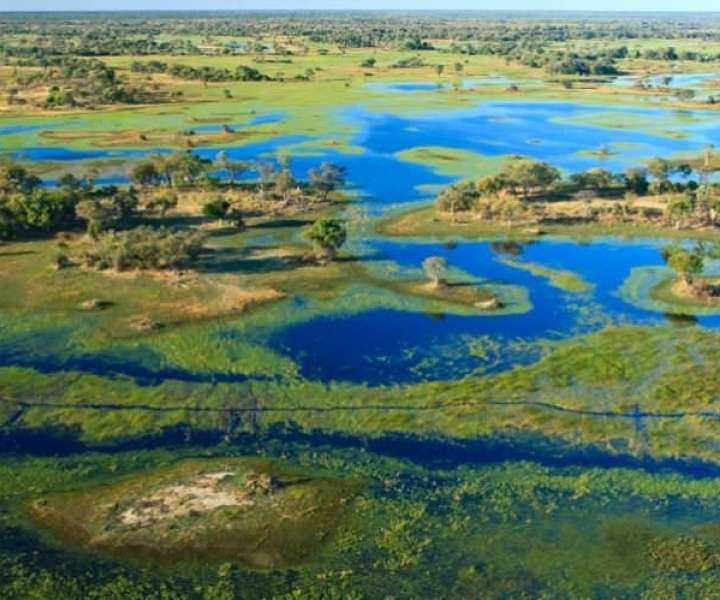 Delta reke Okawango (Bocvana)
