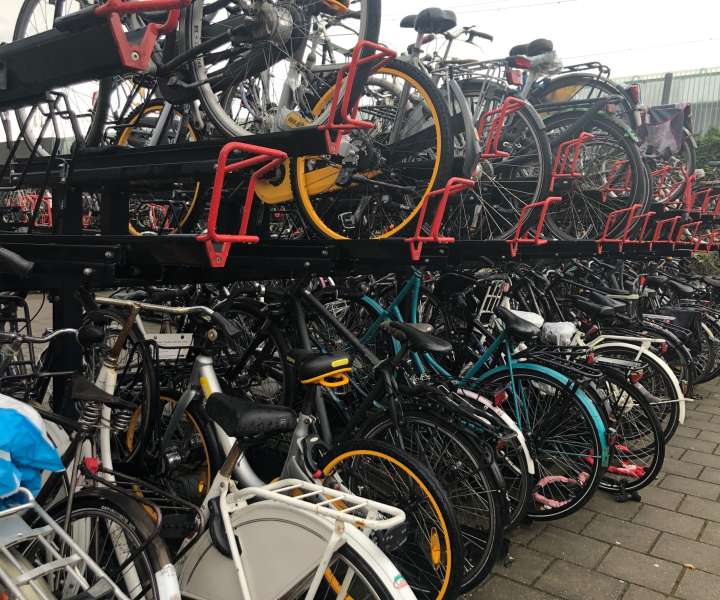 Nizozemska je edina država, ki ima več koles kot prebivalcev, pravi televizijska voditeljica.