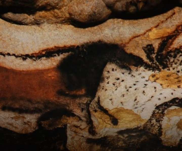 Slika konja in tura iz jame Chauvet v Franciji
