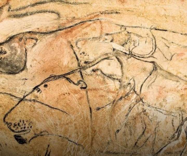 Slika levov iz jame Chauvet v Franciji