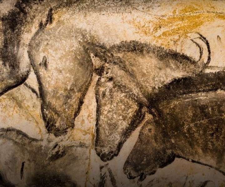 Slika konjev iz jame Chauver v Franciji