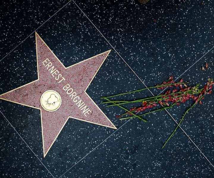 Ernest Borgnine je bil eden prvih, ki je dobil zvezdo na pločniku v Hollywoodu.