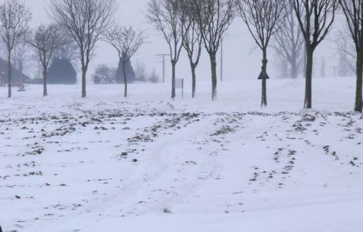Na Madžarskem več kot 250 smrtnih žrtev mraza