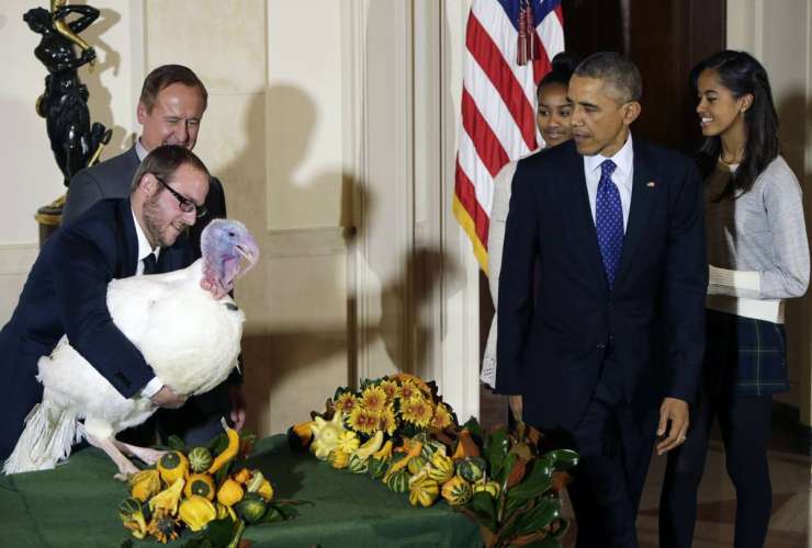 Obama pred zahvalnim dnevom pomilostil purana