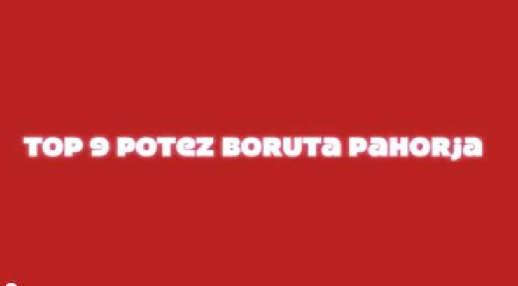 Youtube: Top 9 potez ex-premiera Boruta Pahorja