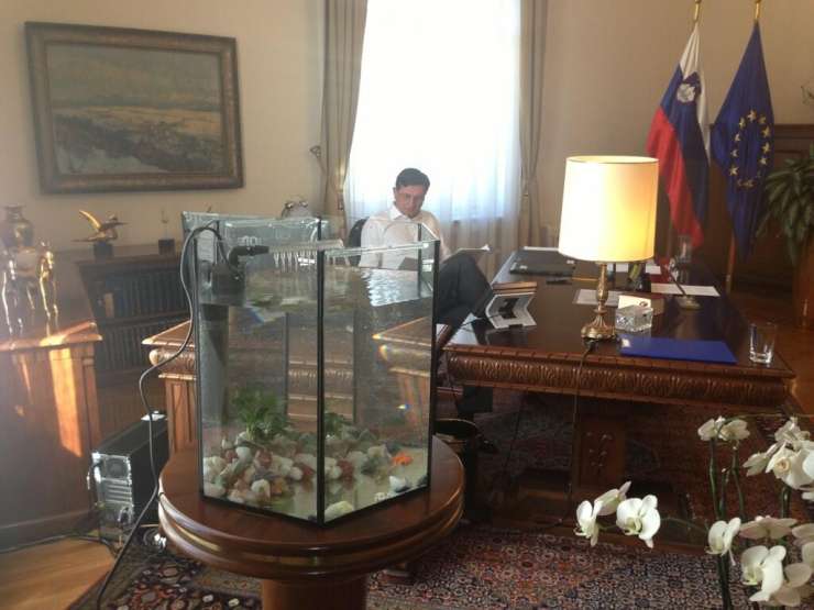 Princeska je rešena! Pahor je zlati ribici brž kupil nov akvarij.