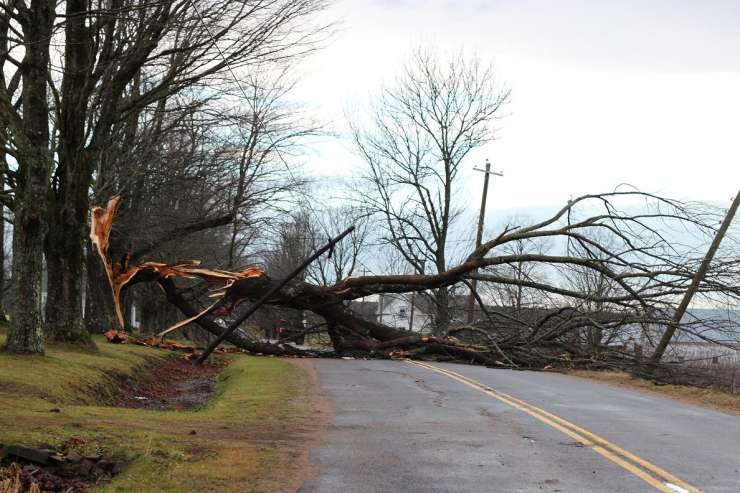 Veter podiral drevesa na ceste in prekinil oskrbo z elektriko
