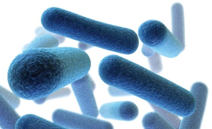 Študija: Zaradi  odpornosti bakterij na antibiotike leta 2019 umrlo več kot milijon ljudi