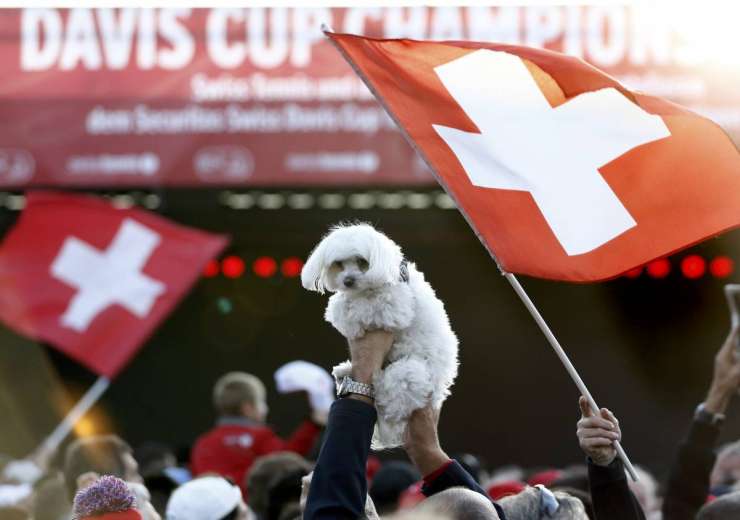 Trije odstotki Švicarjev naj bi na skrivaj jedli pse in mačke