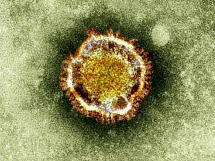 Na Otoku z virusom, podobnim sarsu, okuženi trije sorodniki