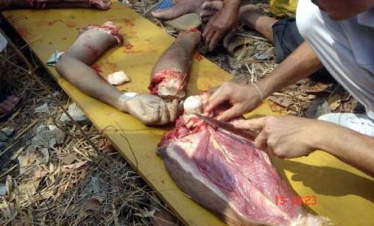 V Papui Novi Gvineji prijeli domnevne kanibale
