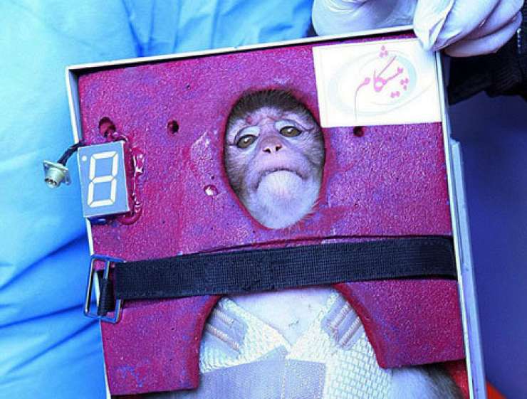 Iran že drugič v vesolje poslal opico