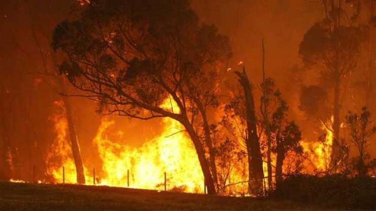 Na jugu Avstralije divjajo gozdni požari