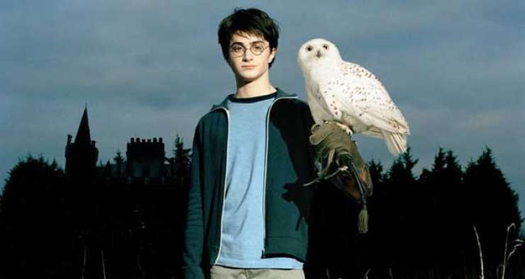 V Londonu na ogled sova Harryja Potterja in druge zverine iz filma