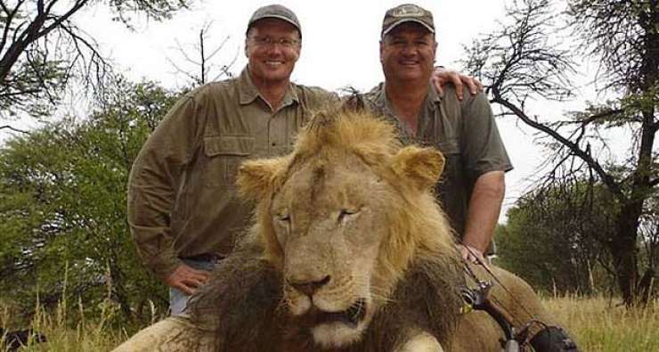Ameriški zobozdravnik v Zimbabveju ubil slavnega in zaščitenega leva