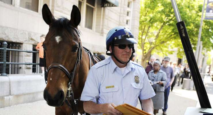 New York: Policijski konj odgriznil in izpljunil prst turistke