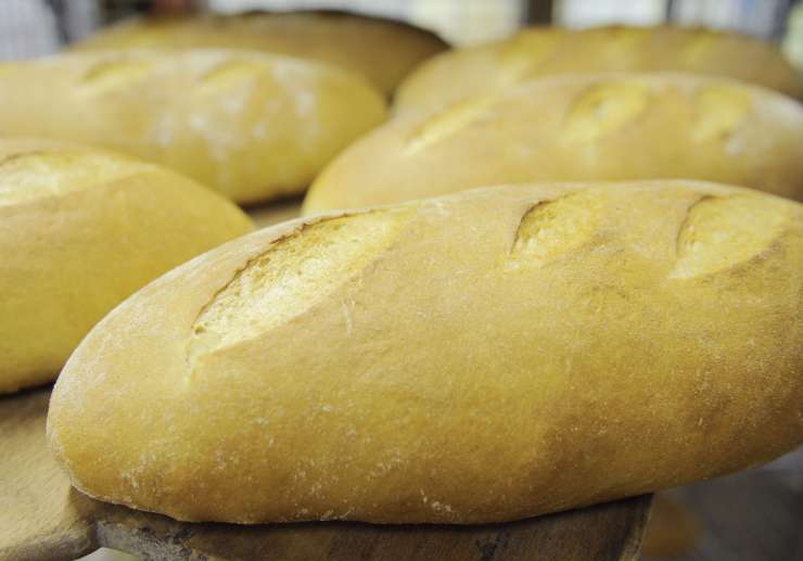 25 let Slovenije: Koliko kruha smo lahko kupili s povprečno plačo? 