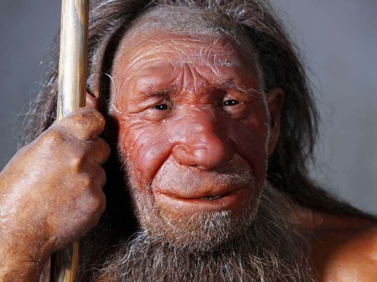 Znanstveniki: Velik in štrleč nos je neandertalcu omogočal lažje preživetje v mrazu
