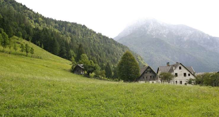 Slovenija mora vrniti skoraj milijon evrov kmetijskih evrov