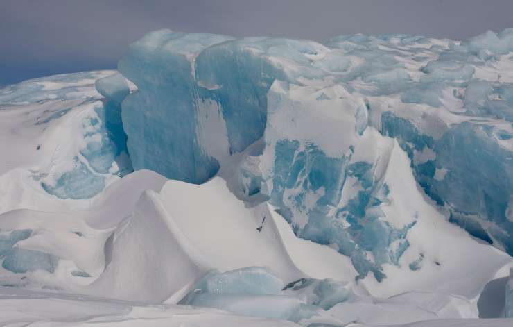 V toplih jamah ledom Antarktike morda uspeva življenje