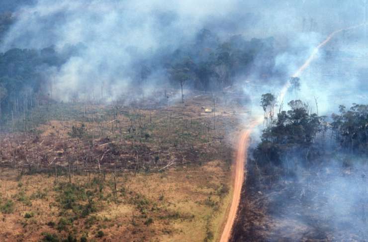 Leto dni po katastrofalnih požarih Amazonija spet gori