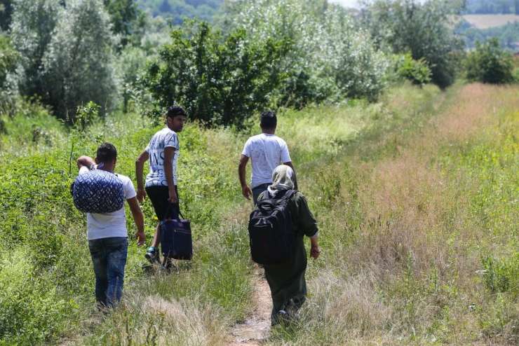 Absurdno: ilegalni migranti iz gozda sami kličejo policijo, naj jih odpelje v azilni center