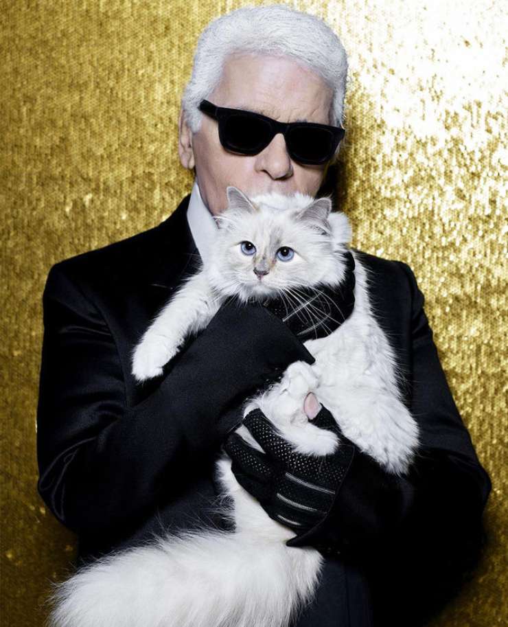 Mačka pokojnega Karla Lagerfelda naj bi podedovala milijone